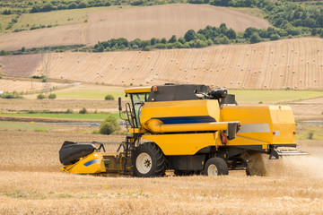 Obraz premium combine harvester