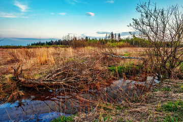 small creek in evening field