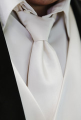 Grooms Cream Colored Tie and Vest