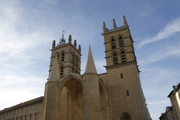 Fototapeta na wymiar Cathédrale Saint Pierre à Montpellier, Occitanie 
