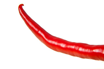 Red chili pepper