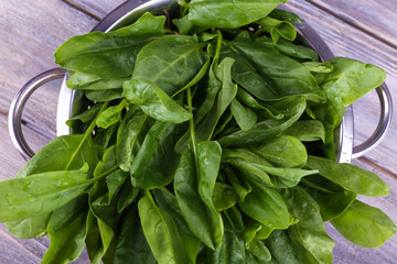 Tuft of fresh sorrel in metal colander on wooden background