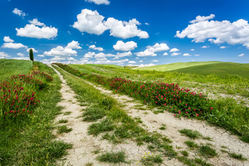 Country road between green hills