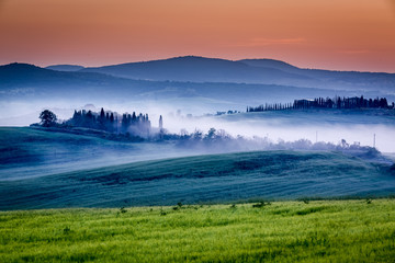 Fototapeta na wymiar Farm of olive groves and vineyards in foggy sunrise