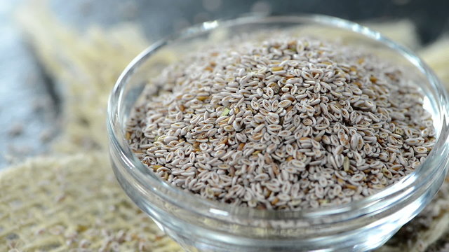 Portion of Psyllium Seeds (not loopable)