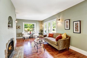 Light mint spacious room with fireplace