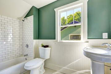 Fototapeta na wymiar Bathroom interior with white and green wall trim