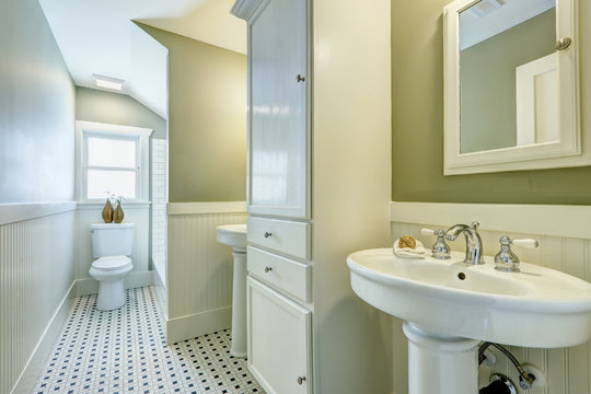 Bathroom interior with siding wall trim