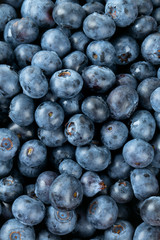 blueberry