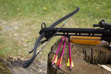 Tuinposter Crossbow arrows on the stub © Art of Success