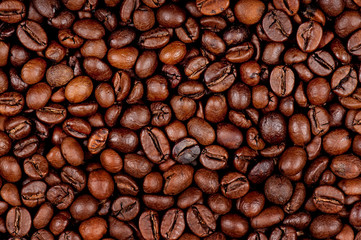 Naklejka premium Coffee beans