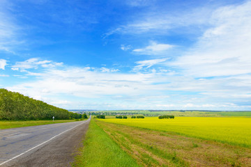 Beautiful Landscape with Green Grass, Blue Sky and Road