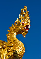 Fototapeta na wymiar Golden dragon statue isolated on blue background