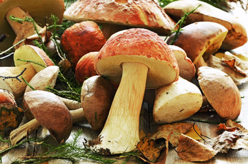 Fresh mushrooms on wooden table