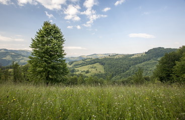 Fototapeta premium mountain landscape