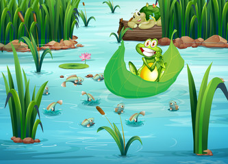 Obraz premium A playful frog and a turtle at the pond