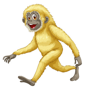 A yellow gorilla