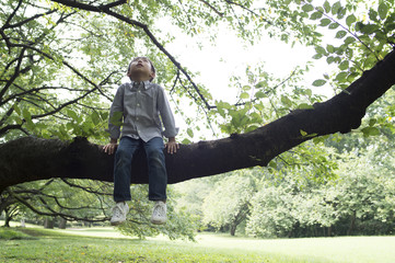 young boy relaxing on tree