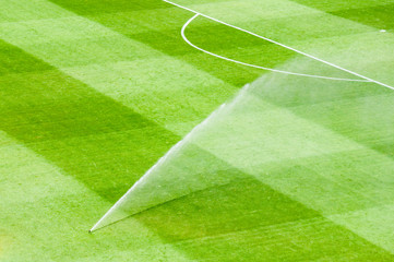 Irrigation turf