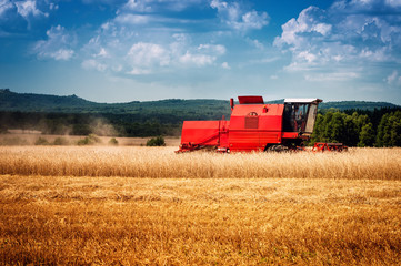 Fototapeta premium combine harvester