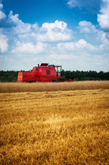 Obraz premium combine harvester