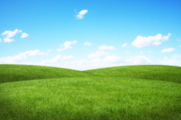 Green field and blue sky