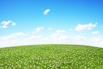 Green field and blue sky