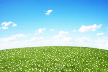Fototapeten Green field and blue sky © sdecoret