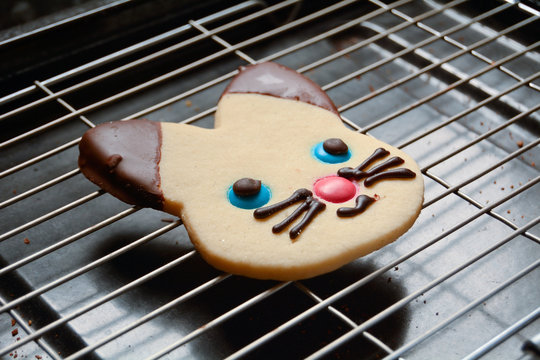 Shortbread Cat Biscuit On Wire Rack