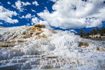 Mammoth Hot Springs, Yellowstone National Park