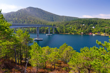 Bridge above Norwegian fjord