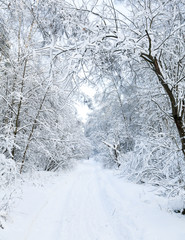 Winter road