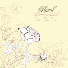 Floral Background with pansies and rose