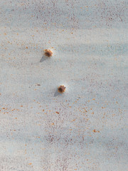 vertical texture