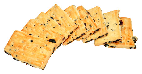 Garibaldi Biscuits