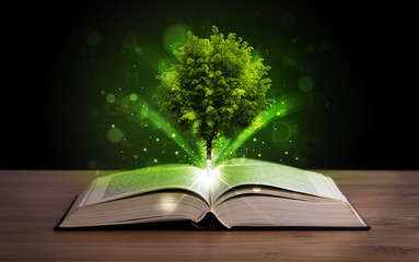 Open book with magical green tree and rays of light