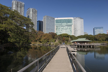 浜離宮から見た汐留の高層ビル