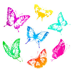 butterflies design