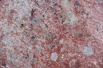 Surface of natural  red and gray spotted stone