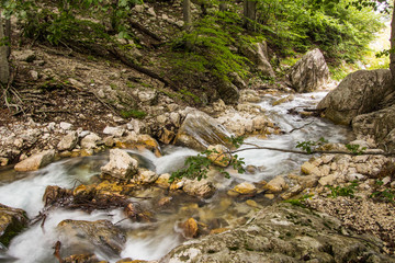 Ruscello - Massiccio del Gran Sasso d'Italia