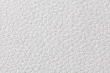 Background with texture of white leather