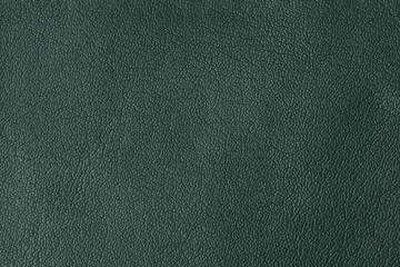 Background with texture of green leather
