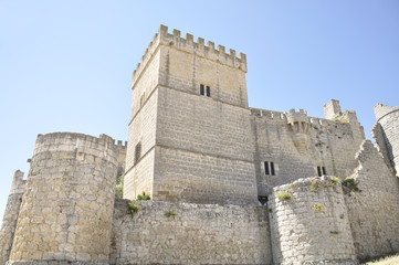 Naklejka premium Gothic style castle