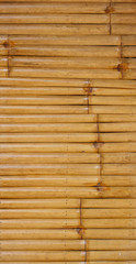 Bamboo wall in the form background