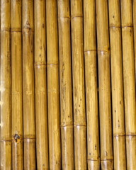Bamboo wall in the form background