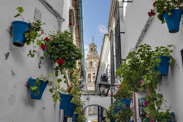 Fototapeta na wymiar Calleja de las Flores in Cordoba, Andalusia, Spain.