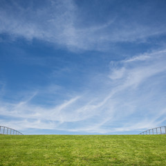 Fototapeta na wymiar green grass roof and blue sky