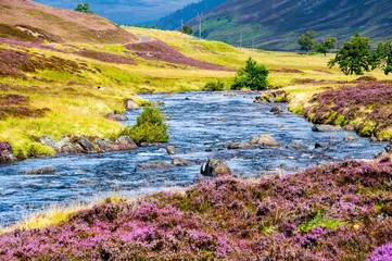 sunny day in the scottish highlands