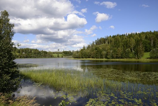 Swedish countryside scenery