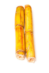Sugarcane isolated on a white studio background.